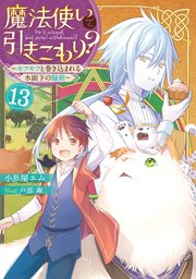 魔法使いで引きこもり？１３　～モフモフと巻き込まれる水面下の騒動～