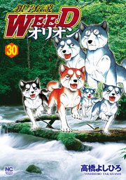 銀牙伝説WEEDオリオン 30