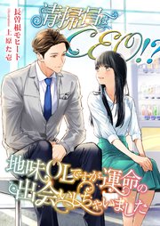 清掃員はCEO！？ 地味OLですが運命の出会いしちゃいました