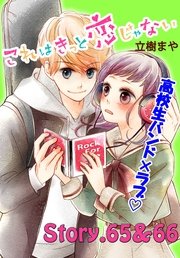 これはきっと恋じゃない 分冊版（27） 65～66話