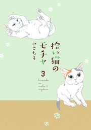 拾い猫のモチャ3