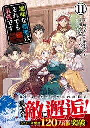 地味な剣聖はそれでも最強です（コミック）【電子版特典付】１１
