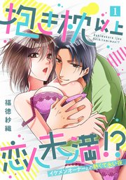 抱き枕 以上 恋人未満 !?～イケメンオーナーとの熱くて永い夜～