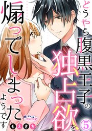 どうやら腹黒王子の独占欲を煽ってしまったようです5