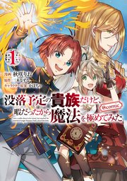 没落予定の貴族だけど、暇だったから魔法を極めてみた@COMIC 表紙