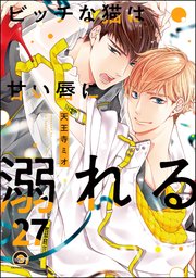 ビッチな猫は好奇心に勝てない（分冊版） 【第27話】