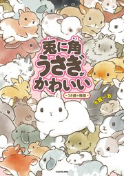 兎に角うさぎがかわいい