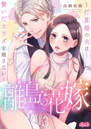 離島の花嫁 ～打算婚の夫は繋いだカラダを離さない～ 3