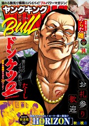 ヤングキングBULL 2025年14号