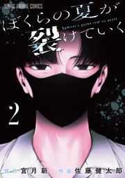 ぼくらの夏が裂けていく 2巻