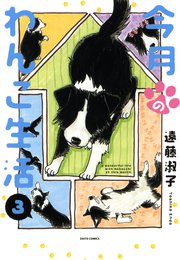 今月のわんこ生活 3