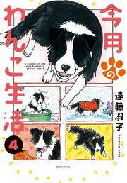 今月のわんこ生活 4