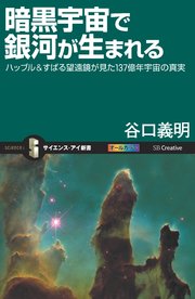 暗黒宇宙で銀河が生まれる ハッブル＆すばる望遠鏡が見た137億年宇宙の真実