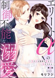 エリートαの制御不能な溺愛 ～氷のαは秘密の奥まで溶かされる～（分冊版） 【第6話】