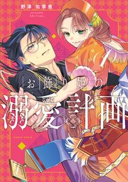 お飾り姫の溺愛計画