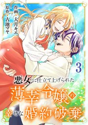 悪女に仕立て上げられた薄幸令嬢の幸せな婚約破棄【電子単行本版／特典おまけ付き】 3巻