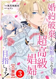 婚約破棄されて娼館に売られる（予定）なので、超高級娼婦を目指します！【合冊版】3