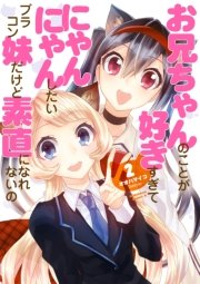 お兄ちゃんのことが好きすぎてにゃんにゃんしたいブラコン妹だけど素直になれないの(2)