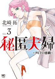 秘匿夫婦～クピドの悪戯～ 3