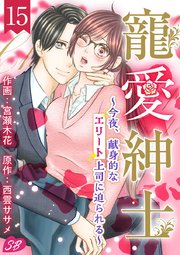 寵愛紳士～今夜、献身的なエリート上司に迫られる～（15）