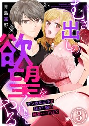 むき出しの欲望をくれてやる～ガン攻め王子と強がり嬢の純愛ハードSEX～ 3巻