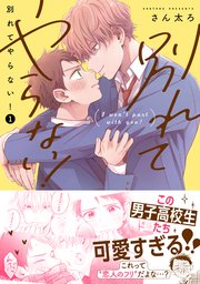 別れてやらない！ 表紙