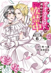愛が重めなオオカミ殿下は運命のつがいを軟禁中 分冊版（6）