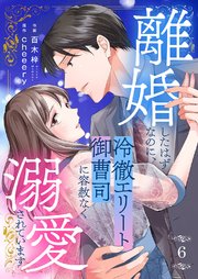離婚したはずなのに、冷徹エリート御曹司に容赦なく溺愛されています 6巻