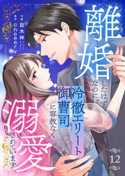 離婚したはずなのに、冷徹エリート御曹司に容赦なく溺愛されています 12巻