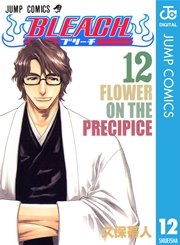 BLEACH モノクロ版 12