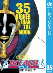 BLEACH モノクロ版 35
