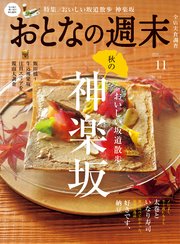おとなの週末　２０２４年　１１月号