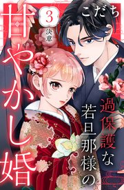 過保護な若旦那様の甘やかし婚 ［comic tint］ 分冊版（3）