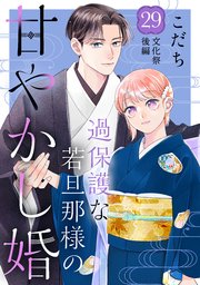 過保護な若旦那様の甘やかし婚 ［comic tint］ 分冊版（29）