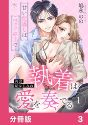 再会幼なじみの執着は愛を奏でる ～甘い仕返しはベッドの上で～【分冊版】3
