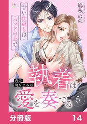 再会幼なじみの執着は愛を奏でる ～甘い仕返しはベッドの上で～【分冊版】14