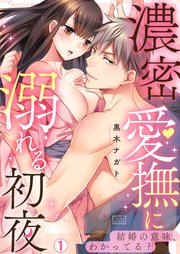 濃密愛撫に溺れる初夜～結婚の意味、わかってる?
