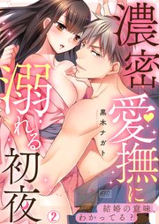 濃密愛撫に溺れる初夜～結婚の意味、わかってる? 2巻