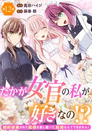 たかが女官の私が好きなの！？　婚約破棄された姫様を差し置いて、結婚なんてできません！12