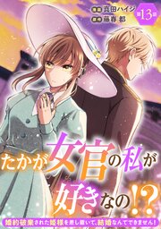 たかが女官の私が好きなの！？　婚約破棄された姫様を差し置いて、結婚なんてできません！13