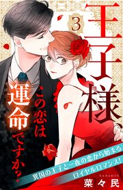 王子様、この恋は運命ですか？ ［comic tint］ 分冊版（3）