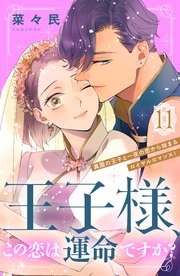 王子様、この恋は運命ですか？ ［comic tint］ 分冊版（11）