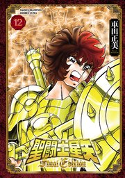 聖闘士星矢 Final Edition 12
