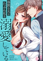 寡黙な夫はたぶん私を溺愛している～何度イッても止まらない愛欲 6巻