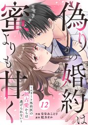 comic Berry’s偽りの婚約は蜜よりも甘く～エリート外科医の独占愛からは逃げられない～12巻