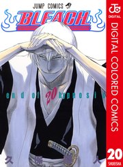 BLEACH カラー版 20