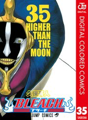 BLEACH カラー版 35