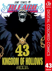 BLEACH カラー版 43