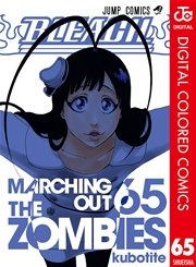 BLEACH カラー版 65