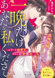 一晩だけあなたを私にください～エリート御曹司と秘密の切愛懐妊～